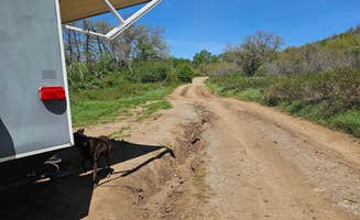 Sherezade F.'s photo of camping with pets at Cascade Springs Dispersed Site near South Salt Lake, UT