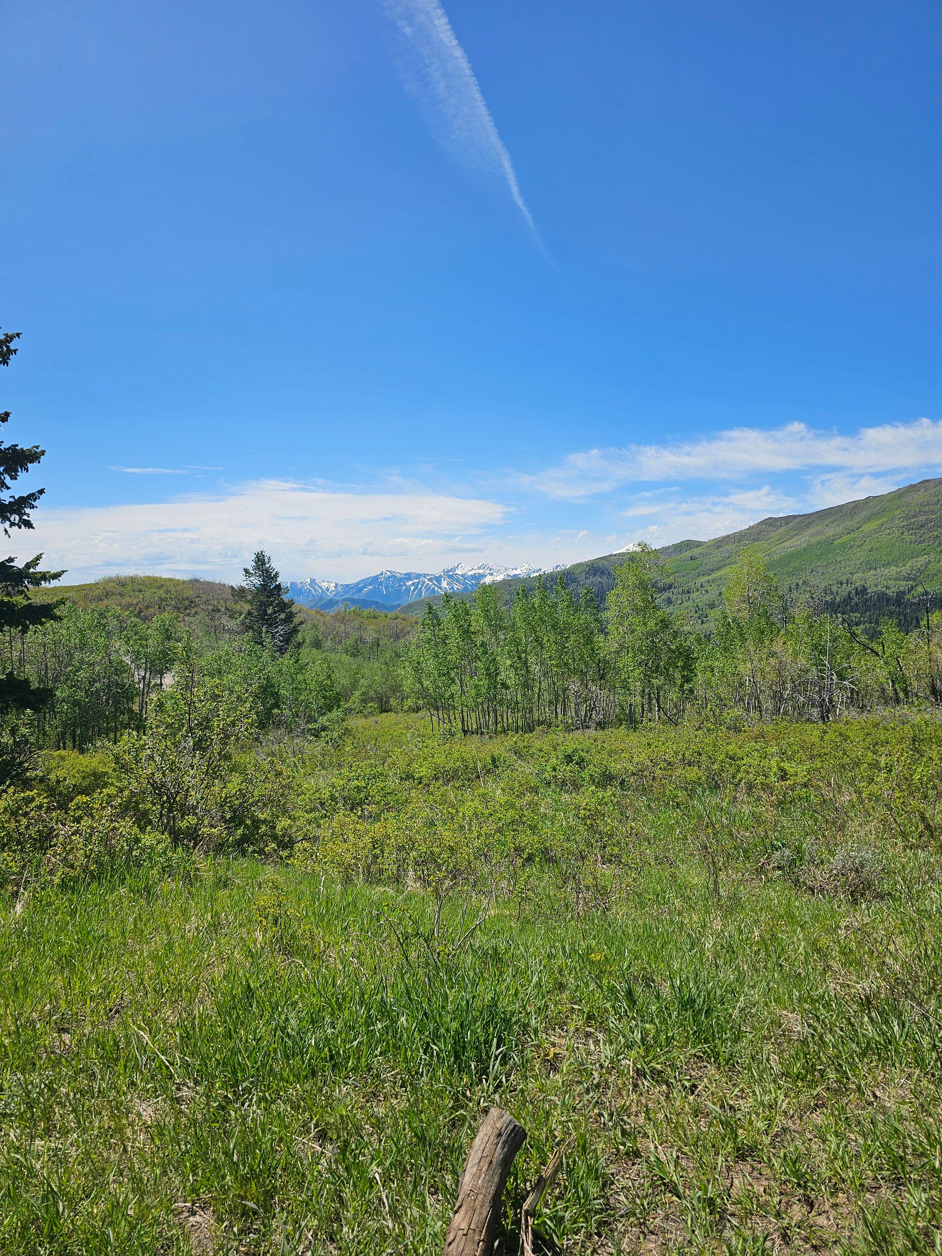 Sherezade F.'s photo of a dispersed camping area at Cascade Springs Dispersed Site near Midvale, UT