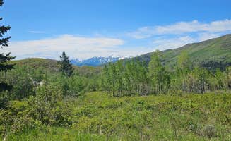 Sherezade F.'s photo of a dispersed camping area at Cascade Springs Dispersed Site near Lindon, UT