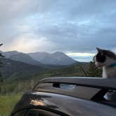 Review photo of Cascade Springs Dispersed Site by Tory H., July 22, 2026