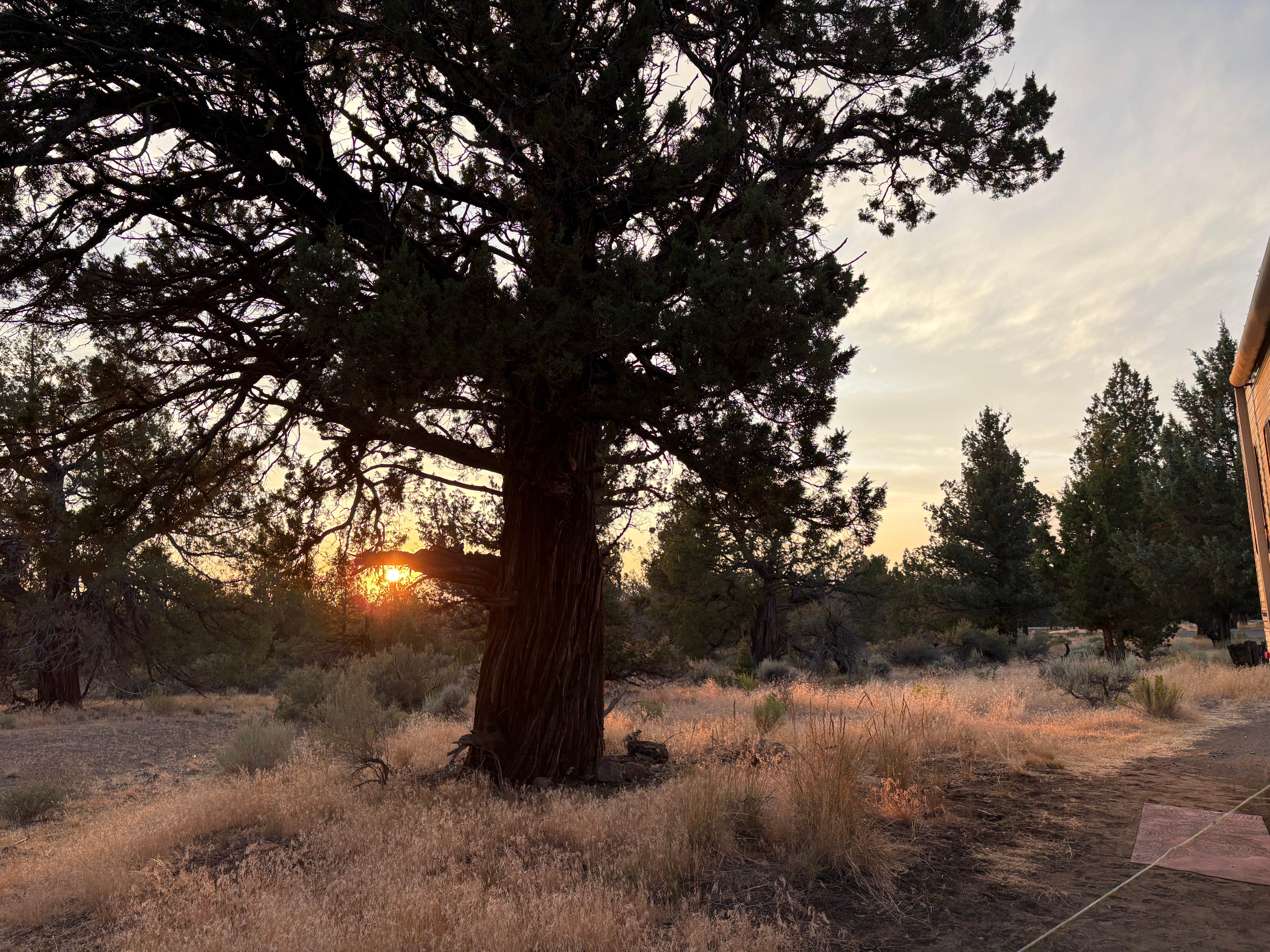 Jessie L.'s photo of a dispersed camping area at cascade view trailhead near Culver, OR