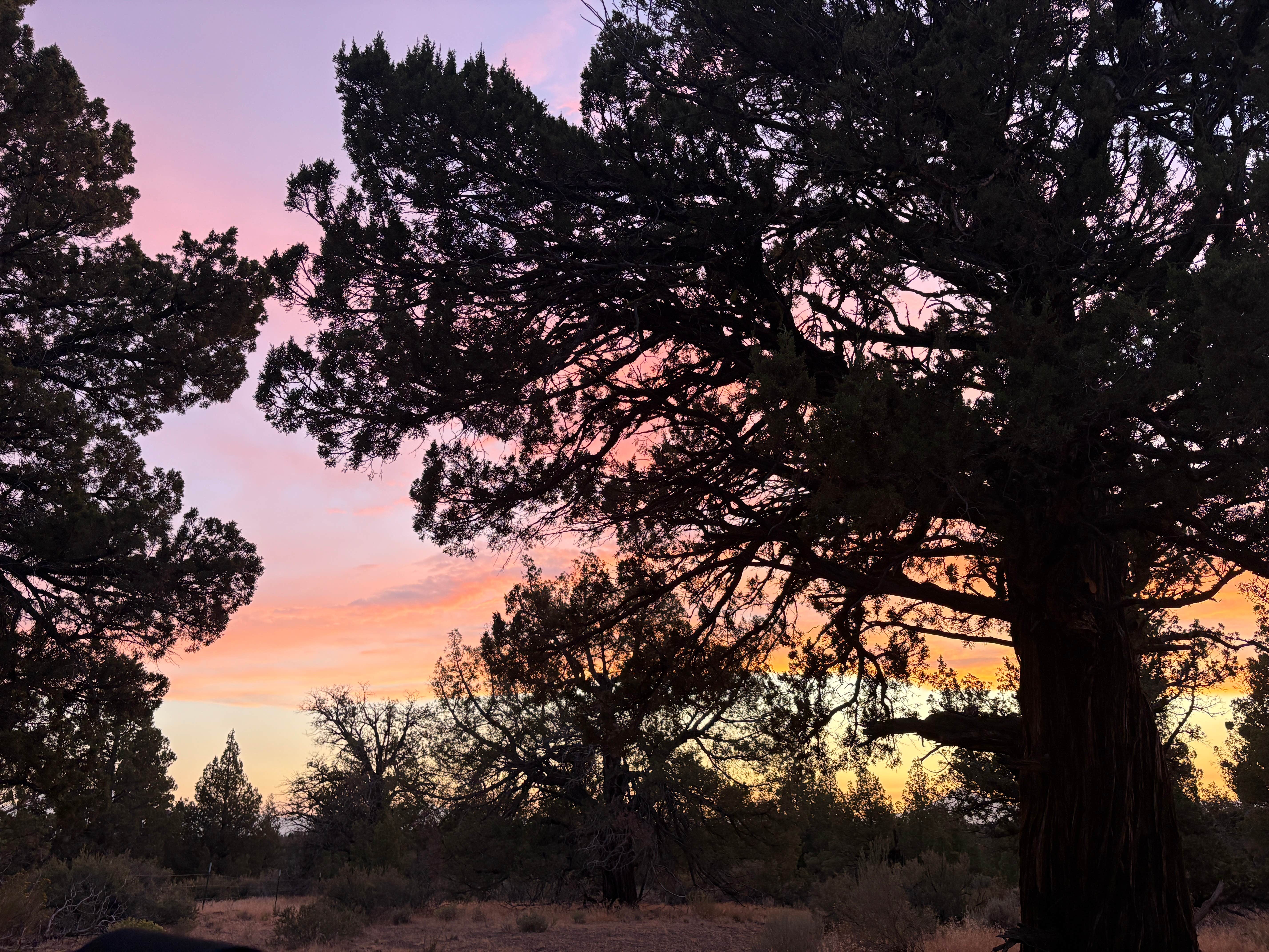Camping near Steelhead Falls Trailhead & Campground: cascade view trailhead, Redmond, Oregon