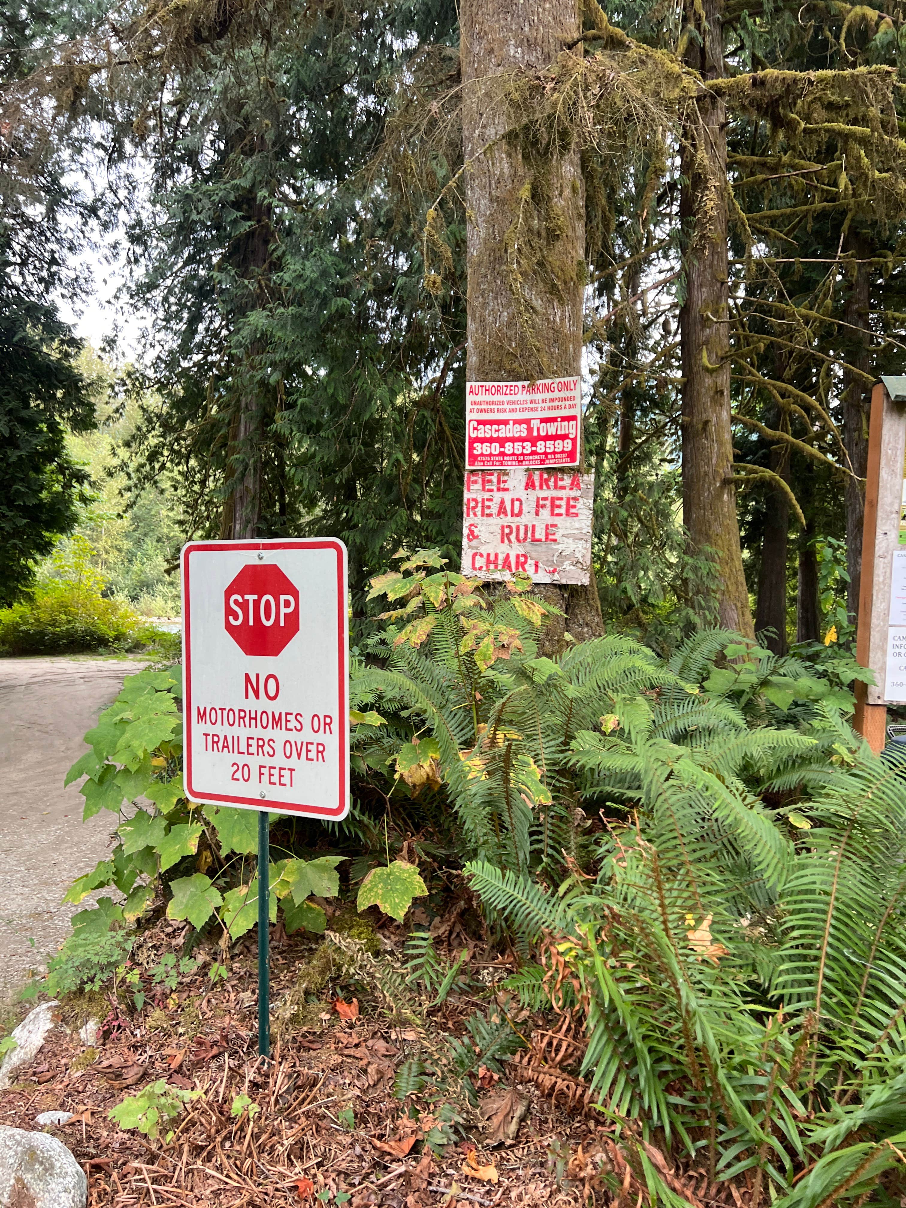 Camper-submitted photo at Cascade Wagon Road Campground near Marblemount, WA