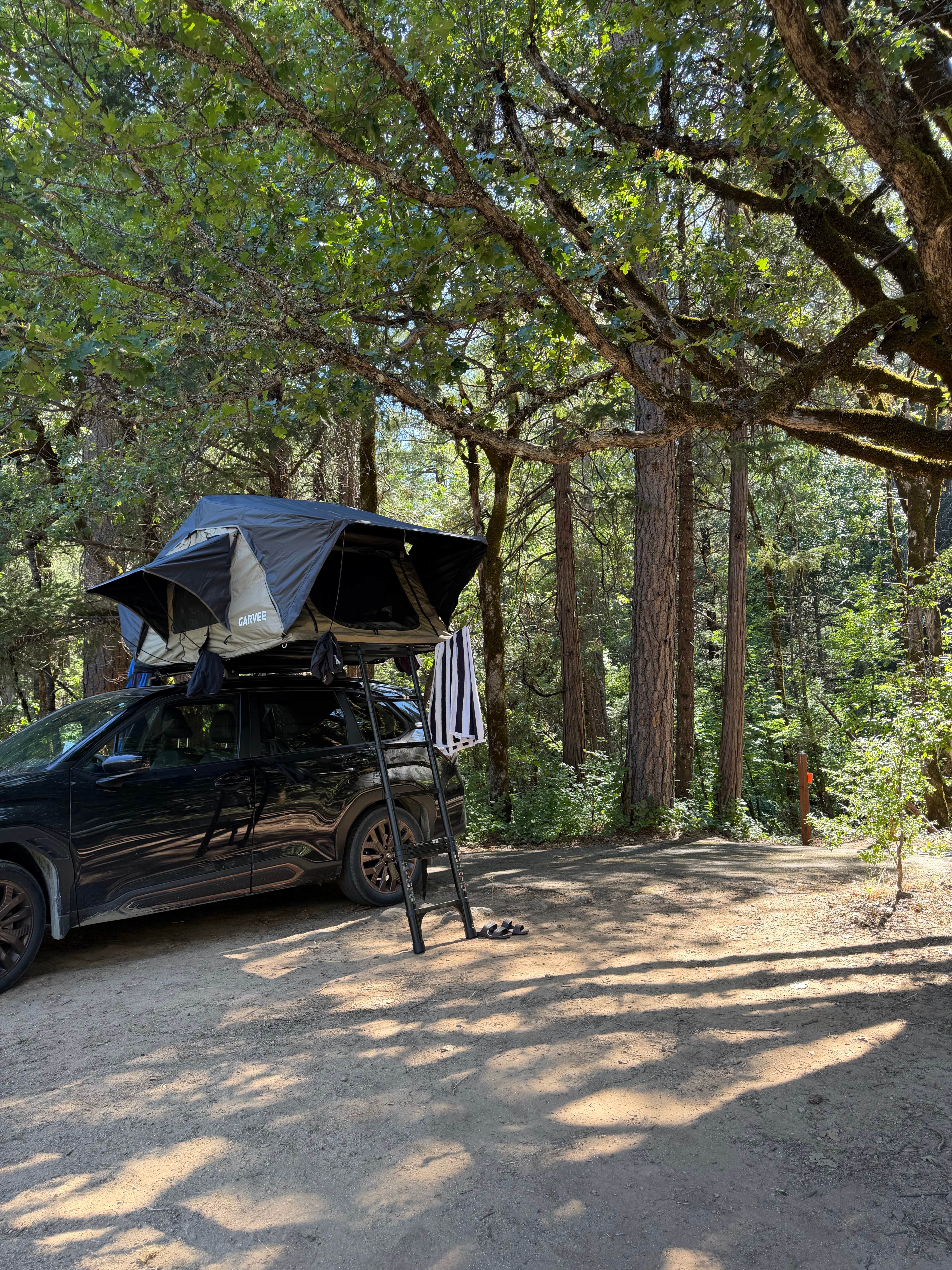 Camping near Caswell Memorial State Park Campground: Castle Crags Campground — Castle Crags State Park, Ripon, California