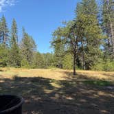 Review photo of Castle Crags Campground — Castle Crags State Park by Andrew P., June 25, 2026