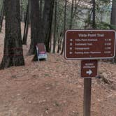 Review photo of Castle Crags State Park Campground by Brendan H., December 16, 2025