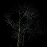 Review photo of Castle Crags State Park Campground by Brendan H., December 16, 2025