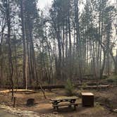 Review photo of Castle Crags State Park Campground by Harley B., January 31, 2026