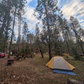 Review photo of Castle Crags State Park Campground by Brendan H., December 16, 2025