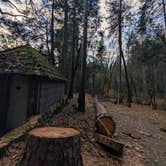 Review photo of Castle Crags State Park Campground by Brendan H., December 16, 2025