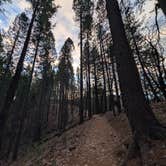 Review photo of Castle Crags State Park Campground by Brendan H., December 16, 2025