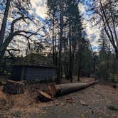 Review photo of Castle Crags State Park Campground by Brendan H., December 16, 2025