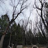 Review photo of Castle Crags State Park Campground by Brendan H., December 16, 2025