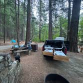 Review photo of Castle Crags State Park Campground by Chris C., July 13, 2026