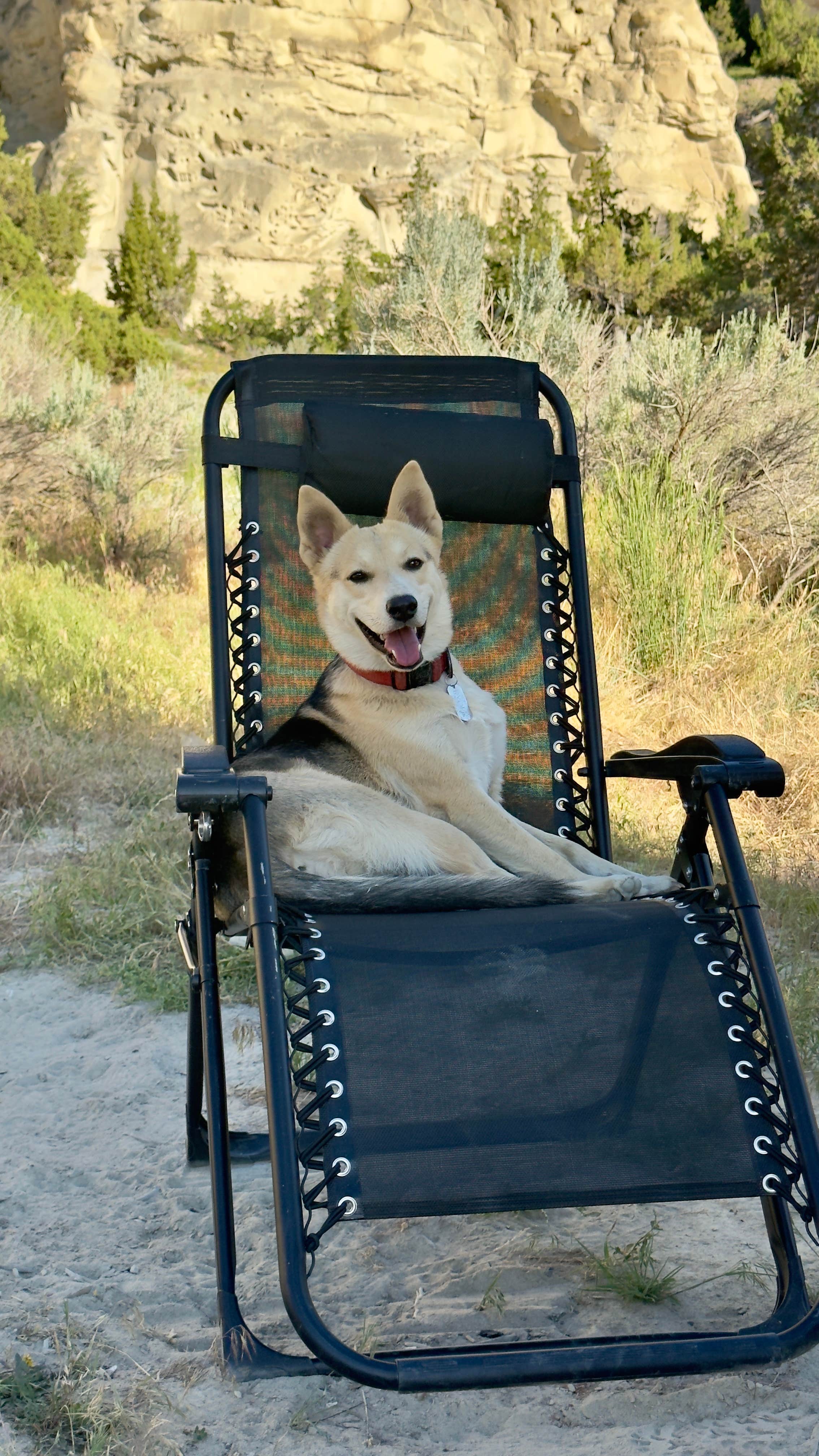 Scot W.'s photo of camping with pets at Castle Gardens near Thermopolis, WY