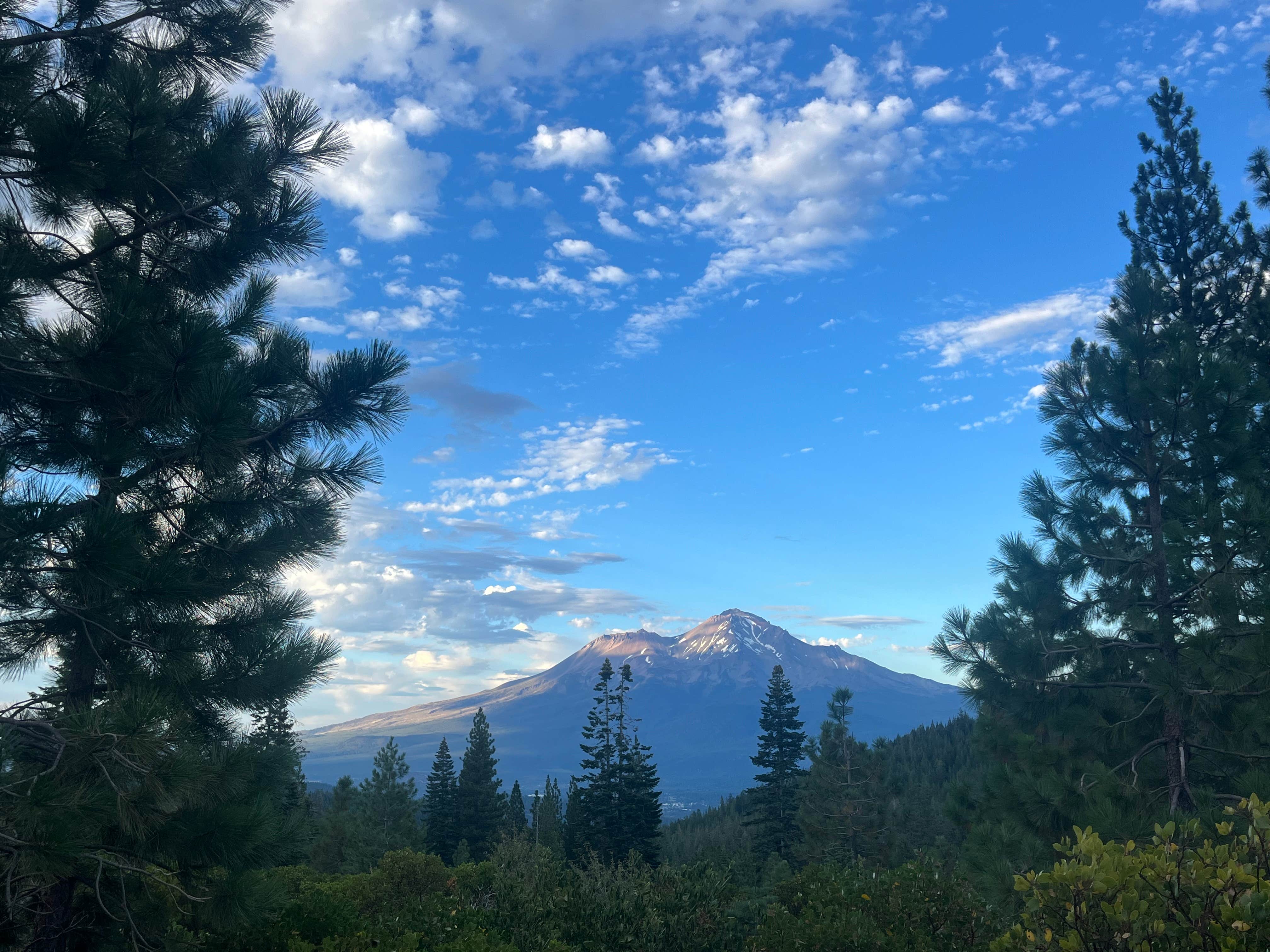 Camper submitted image from Castle Lake Dispersed Camping - 1
