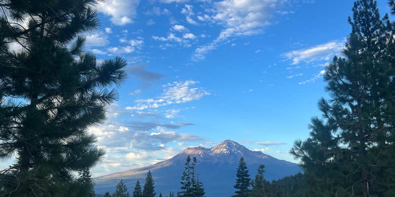 Camper submitted image from Castle Lake Dispersed Camping