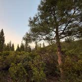 Review photo of Castle Lake Dispersed Camping by GIna G., August 10, 2026
