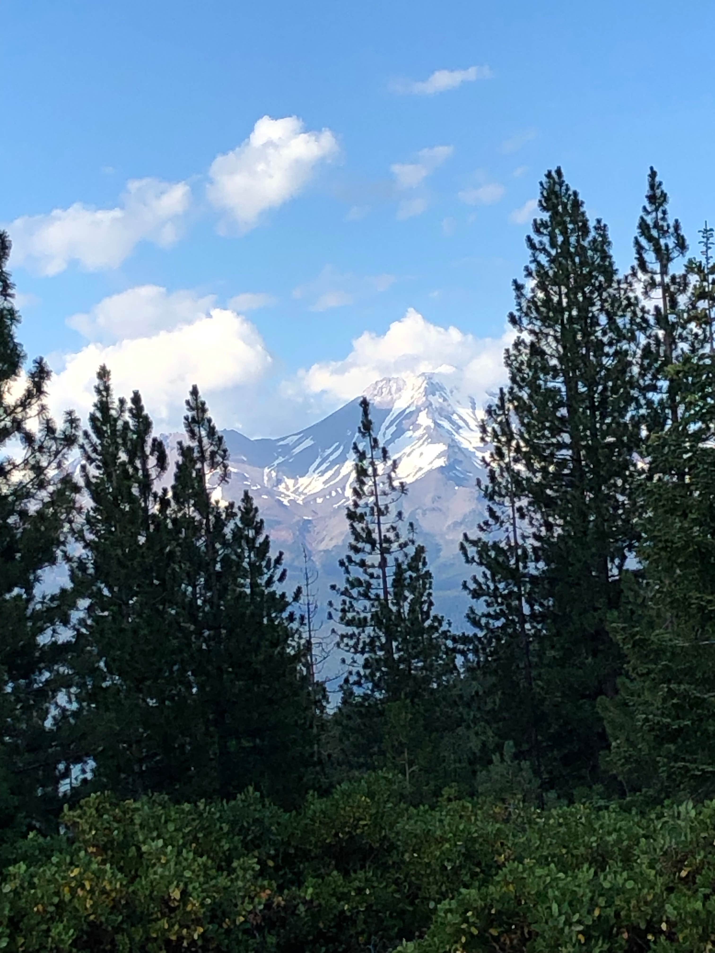 Camper submitted image from Castle Lake Dispersed Camping - 1