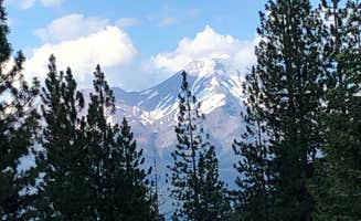 Meatball W.'s photo of a dispersed camping area at Castle Lake Dispersed Camping near Cassel, CA
