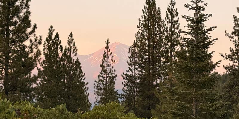 Camper submitted image from Castle Lake Dispersed Camping