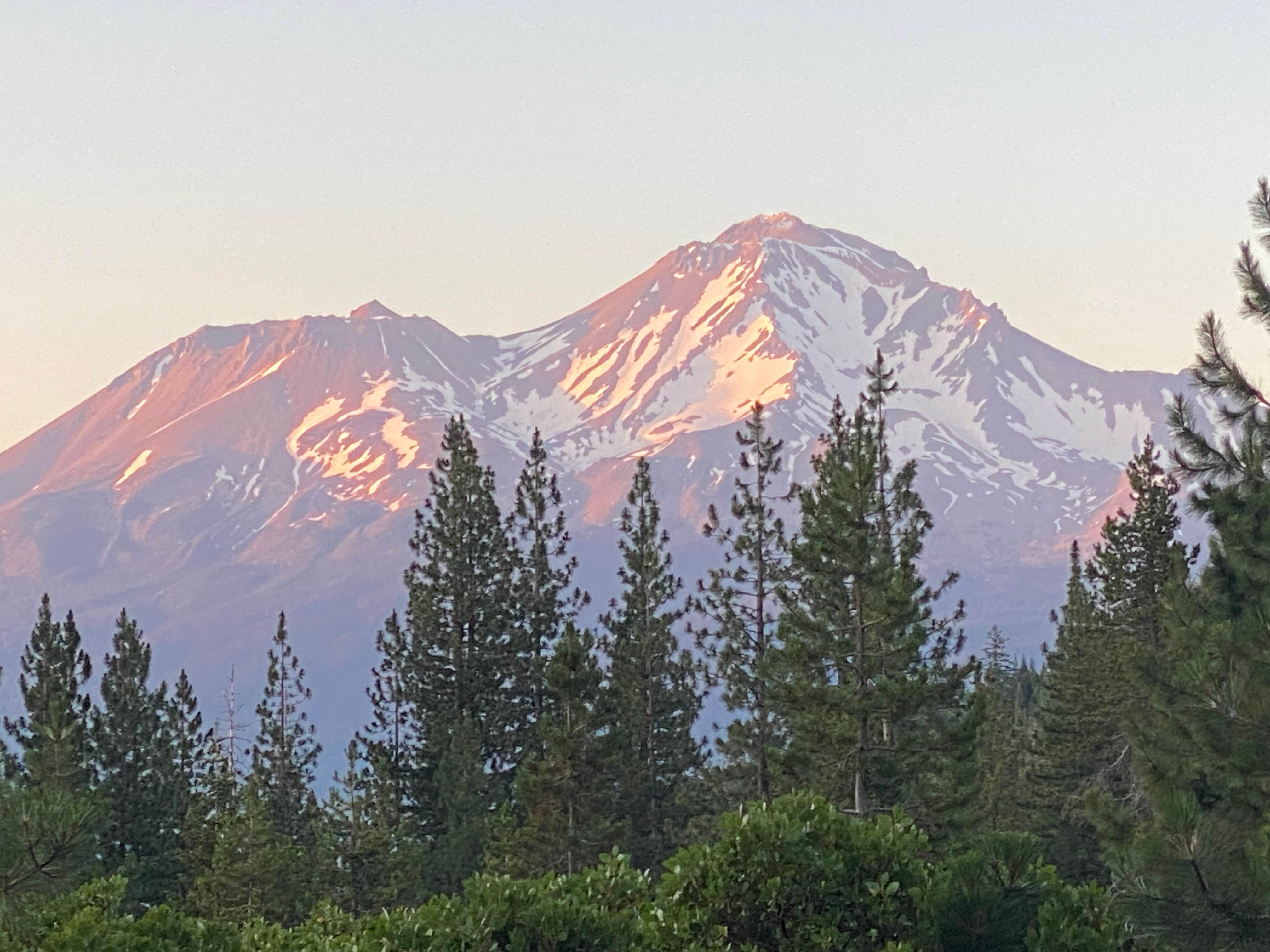 Camper submitted image from Castle Lake Dispersed Camping - 1
