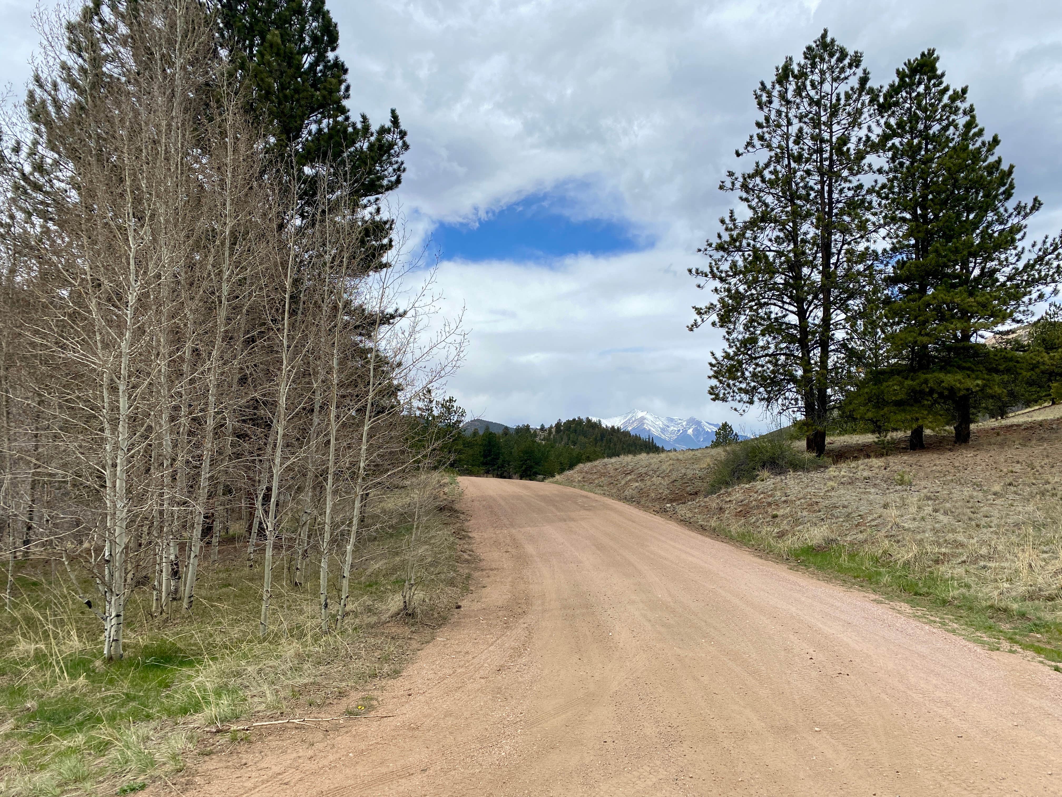 Camper submitted image from Castle Rock Gulch - 5