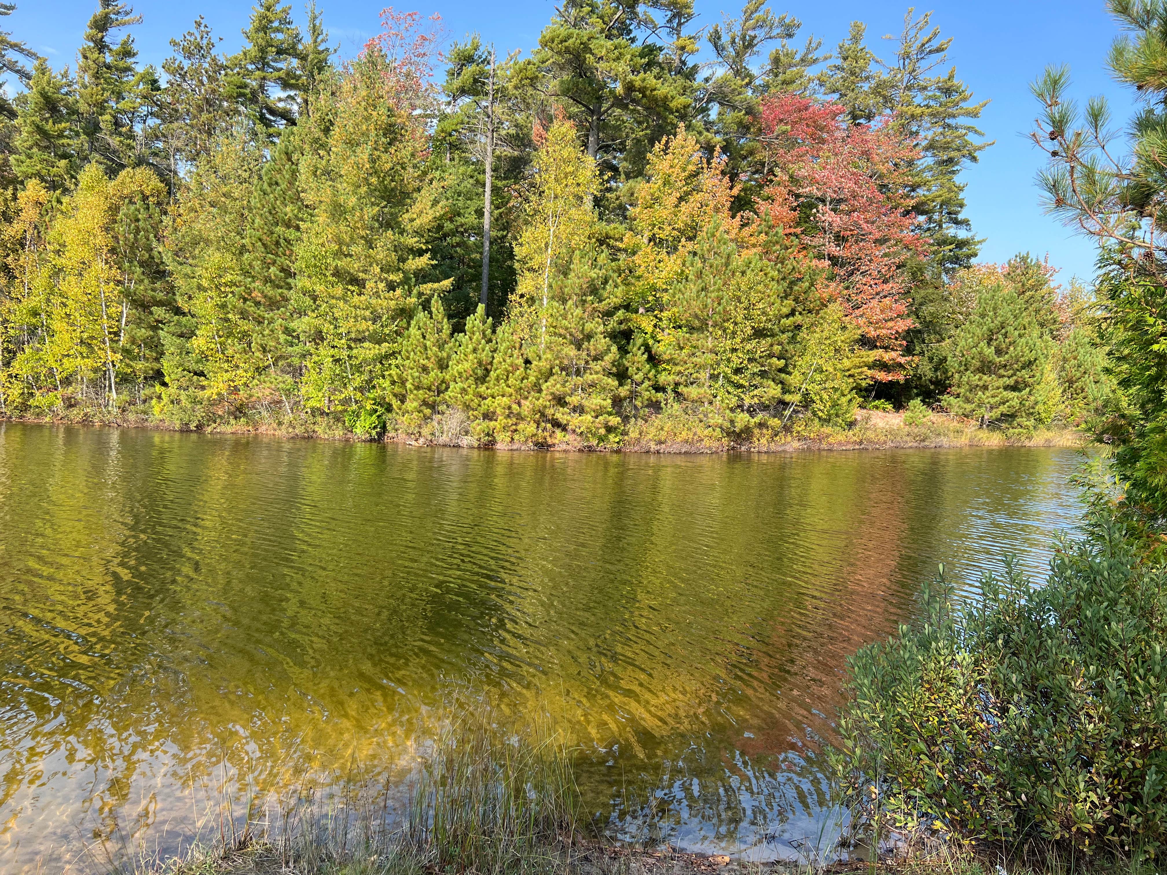 Camper-submitted photo at Castle Rock Ponds near Rudyard, MI