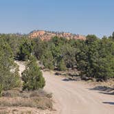 Review photo of Casto Canyon Rd Dispersed Camping by Chelsie , July 5, 2024