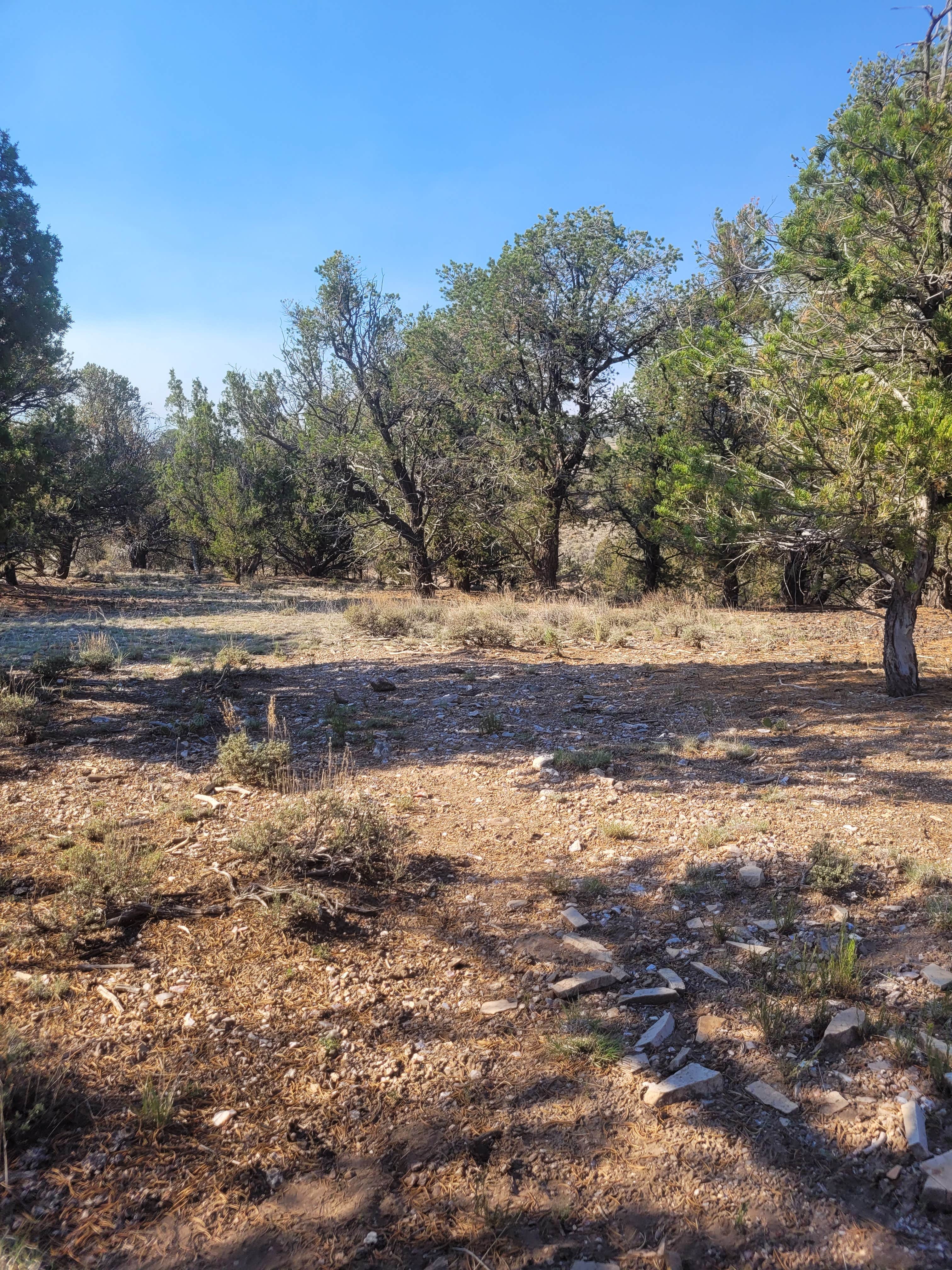 Camper-submitted photo at Casto Canyon Rd Dispersed Camping near Panguitch, UT