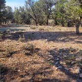 Review photo of Casto Canyon Rd Dispersed Camping by Chelsie , July 5, 2024