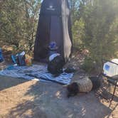 Review photo of Casto Canyon Rd Dispersed Camping by Chelsie , July 5, 2024