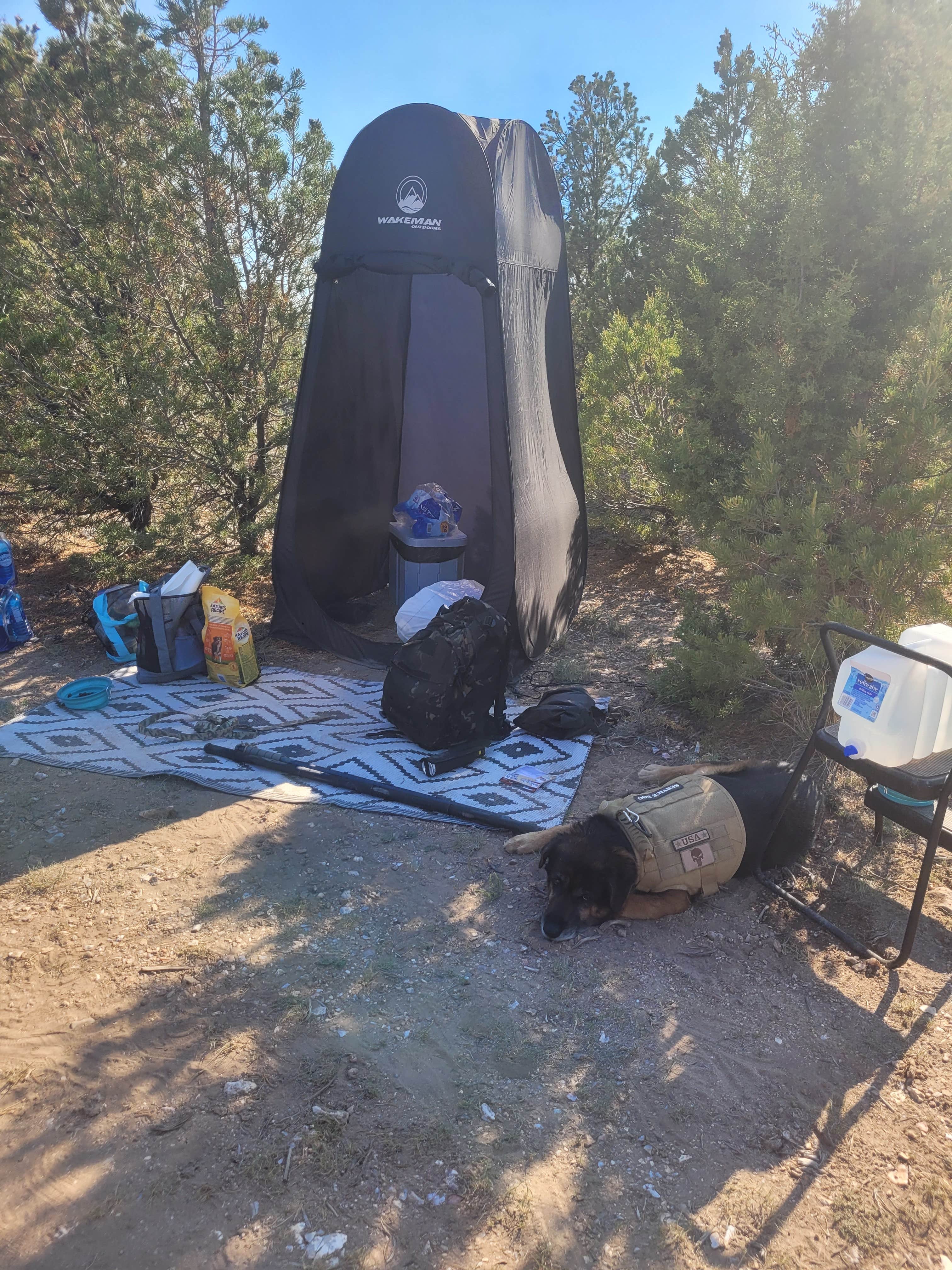 Camper submitted image from Casto Canyon Rd Dispersed Camping - 5