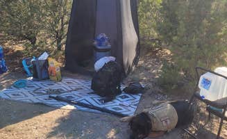 Chelsie's photo of a dispersed camping area at Casto Canyon Rd Dispersed Camping near Fishlake National Forest