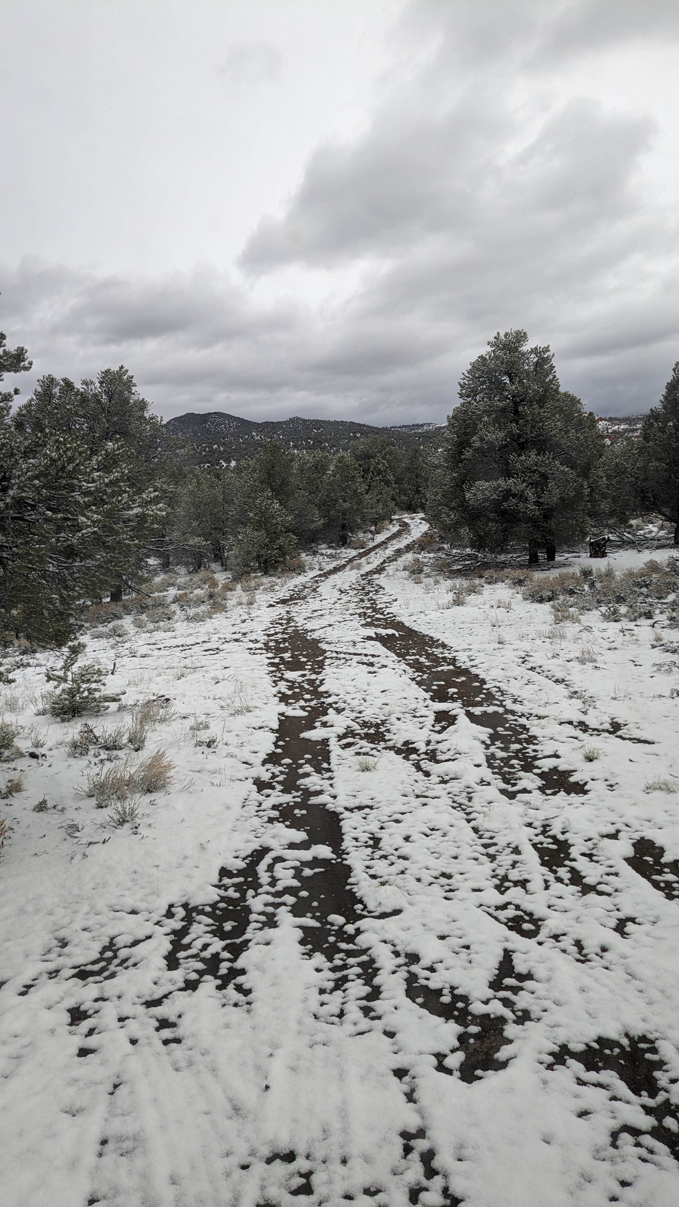 Camper submitted image from Casto Canyon Rd Dispersed Camping - 2