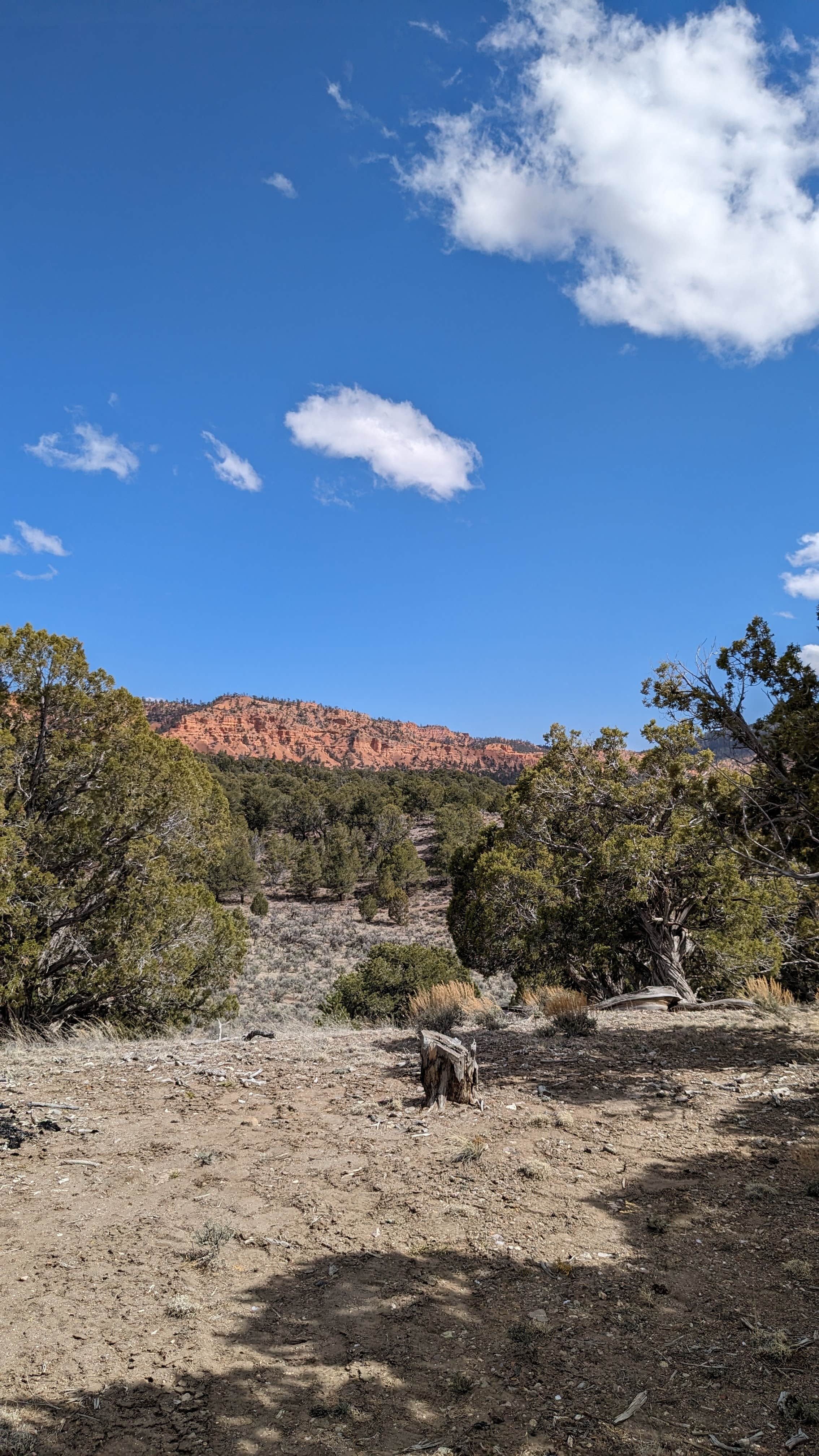 Kayla M.'s photo of a dispersed camping area at Casto Canyon Rd Dispersed Camping near Panguitch, UT