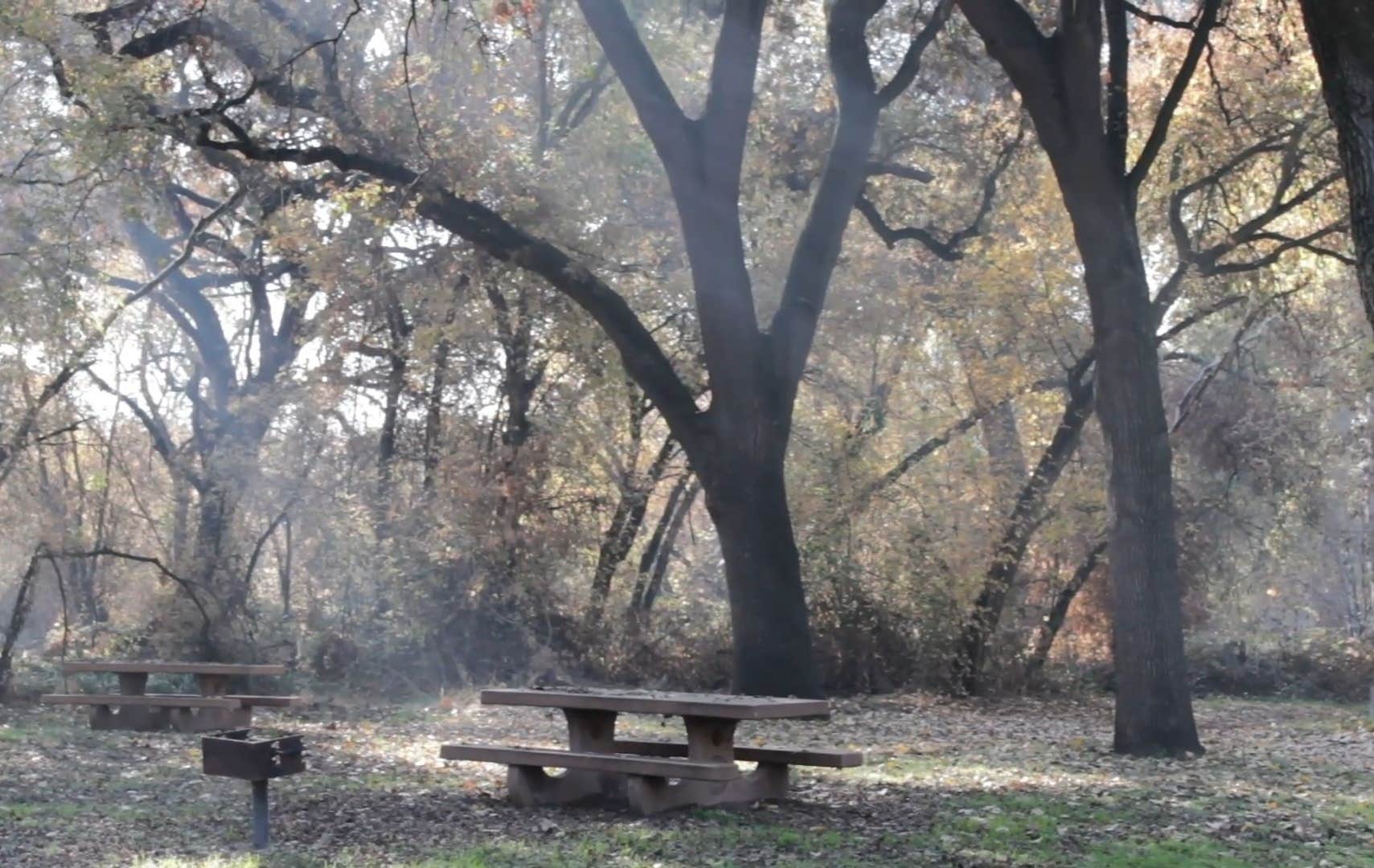 Camper-submitted photo at Caswell Memorial State Park Campground near Stockton, CA