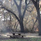 Review photo of Caswell Memorial State Park Campground by John M C., January 11, 2025