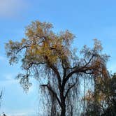 Review photo of Caswell Memorial State Park Campground by Micah C., January 5, 2026