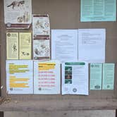 Review photo of Caswell Memorial State Park Campground by Kylee R., October 7, 2026