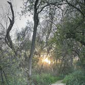 Review photo of Caswell Memorial State Park Campground by Micah C., January 5, 2026