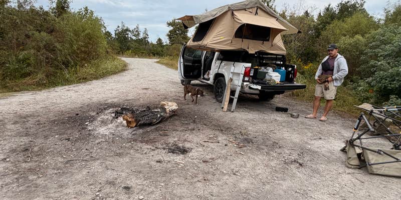 Camper submitted image from catfish lake camp site 3