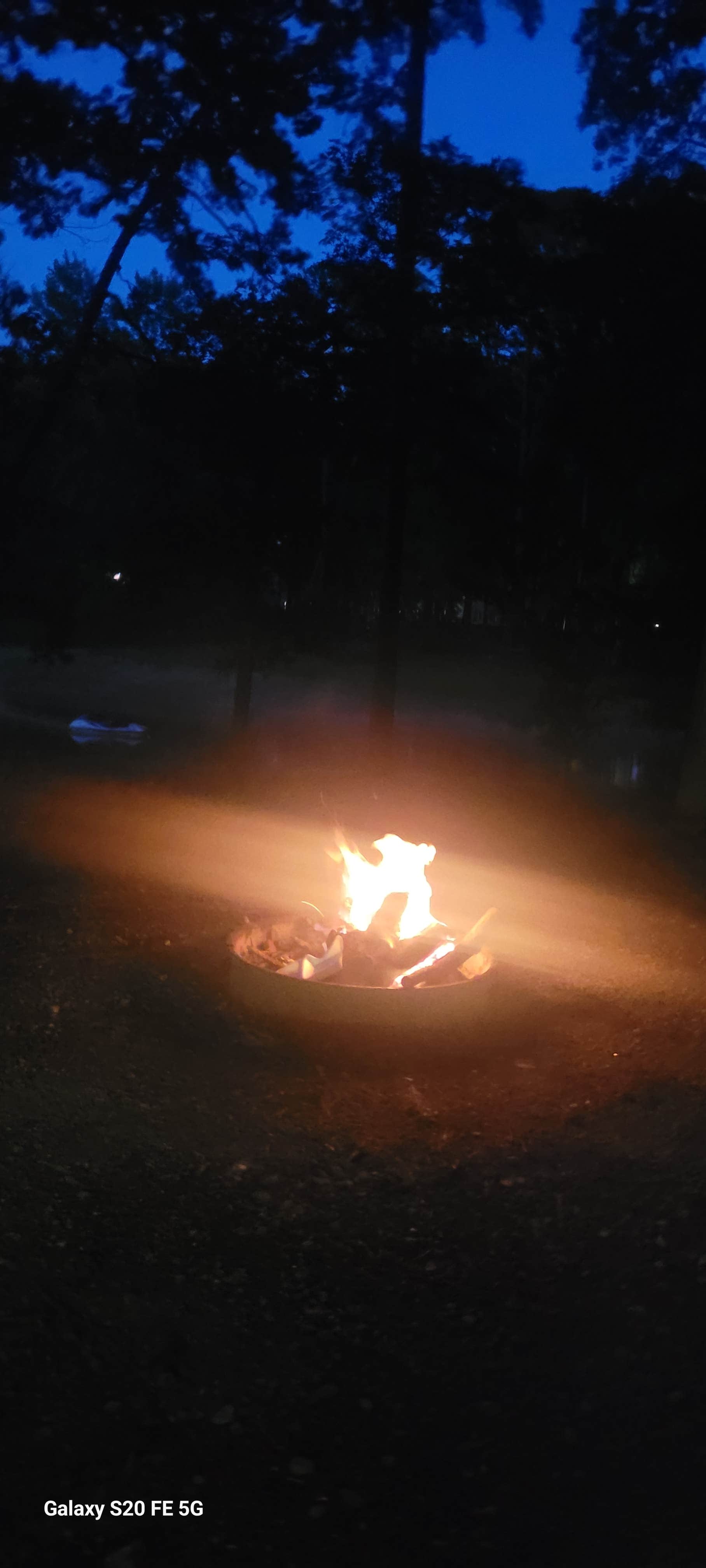 Camper-submitted photo at Magazine Arkansas Eclipse Camping near Blue Mountain, AR