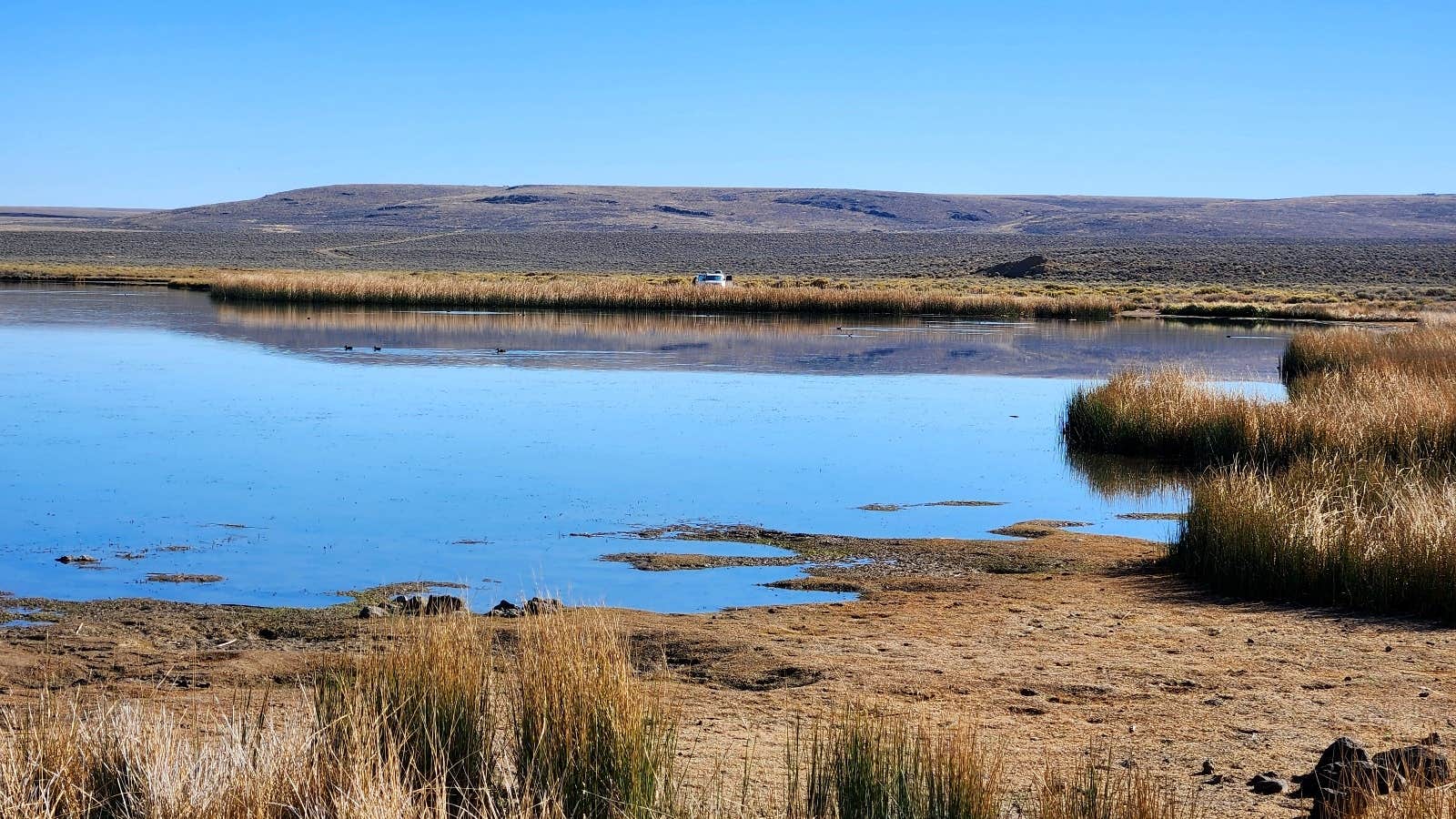 Camper-submitted photo at Catnip Reservoir Dispersed Camping near Davis Creek, CA