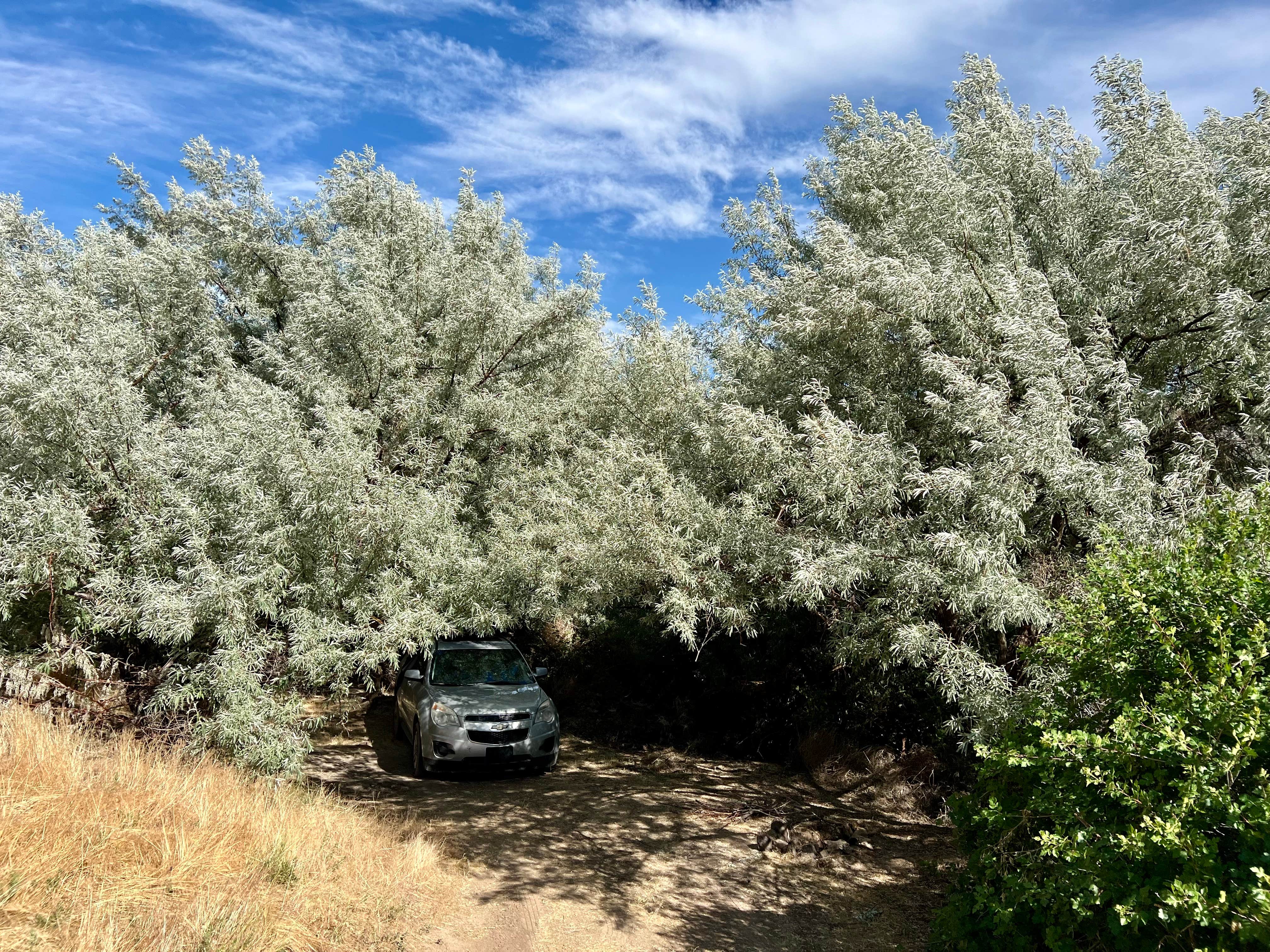 Camper-submitted photo at Cauldron Linn BLM Dispersed in Idaho