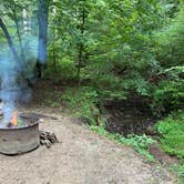 Review photo of Cave Mountain Lake Group Camp — George Washington & Jefferson National Forest by Timothy B., July 29, 2024