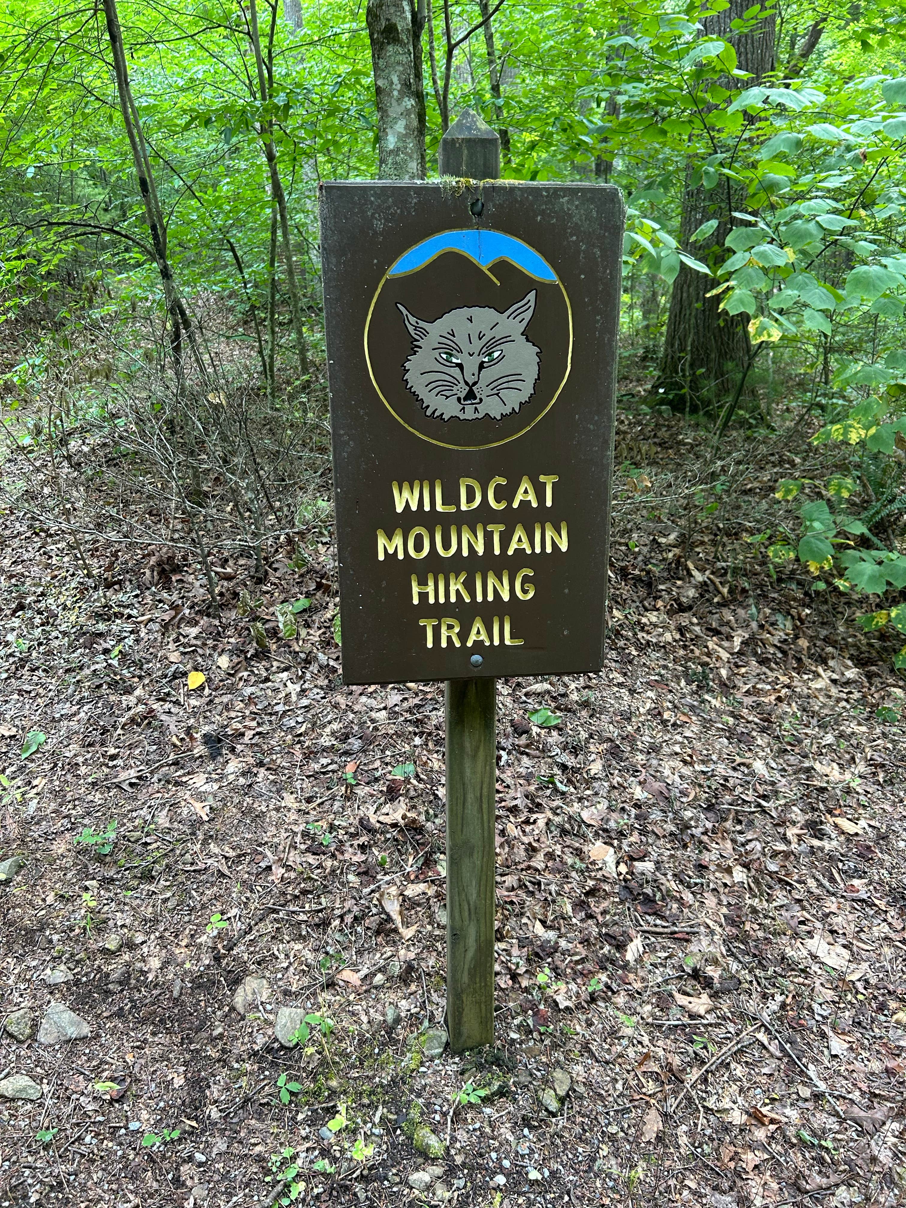 Timothy B.'s photo of camping with pets at Cave Mountain Lake Group Camp — George Washington & Jefferson National Forest near Hurt, VA