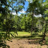 Review photo of Caylx Creek, Shepard Hut by James M., June 30, 2024