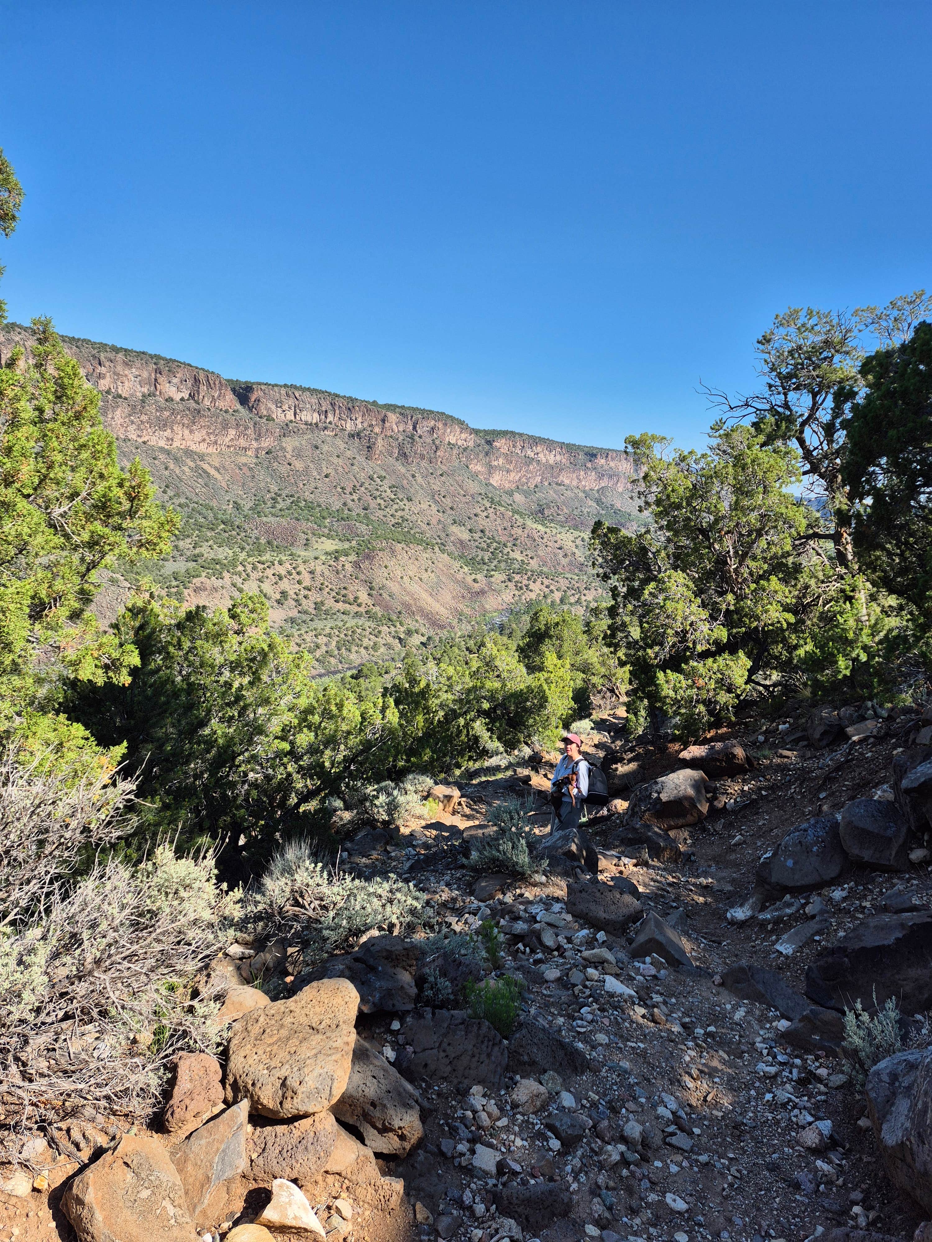 Camper-submitted photo at Cebolla Mesa near Carson National Forest