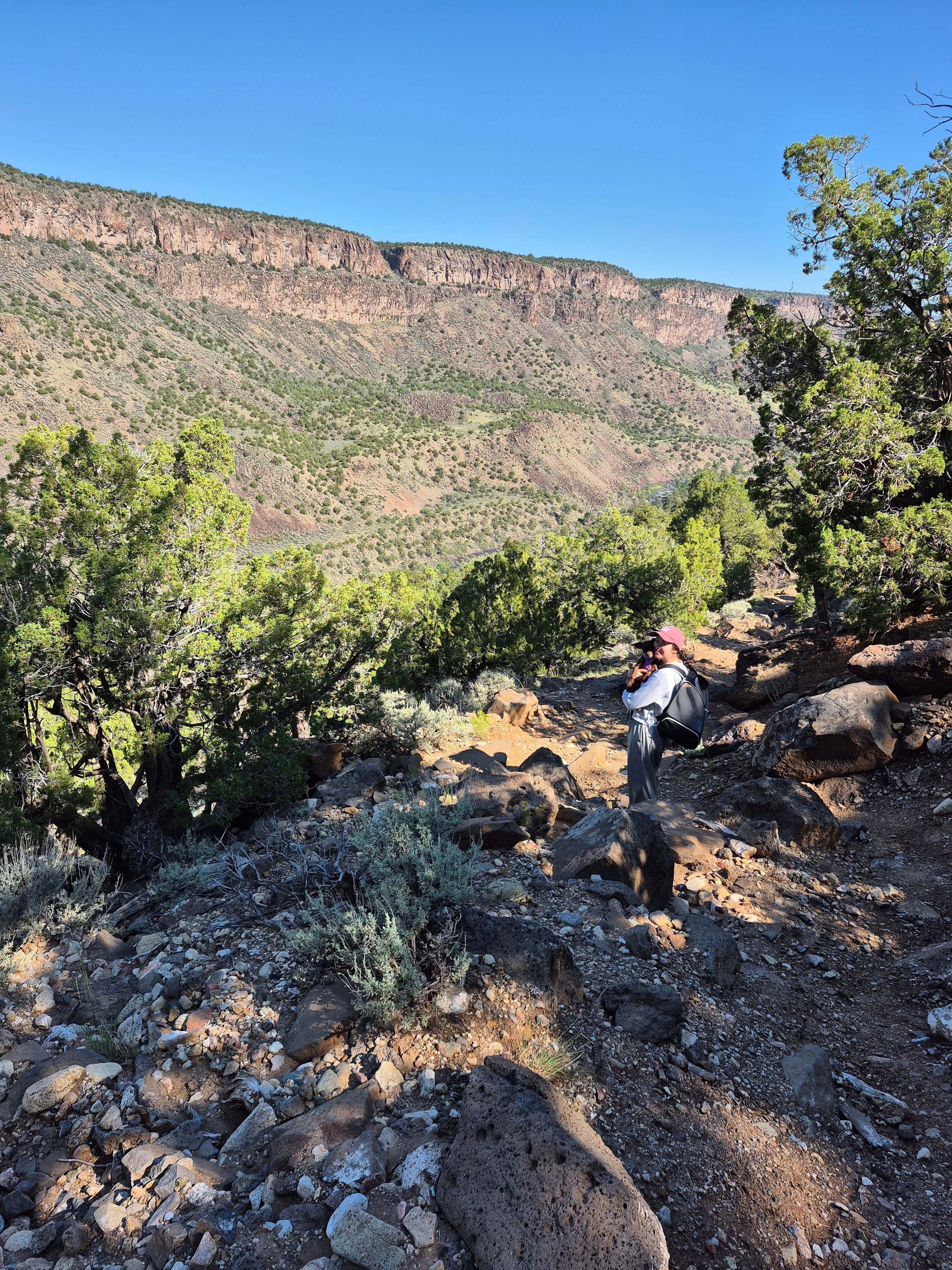 Camper-submitted photo at Cebolla Mesa near Carson National Forest